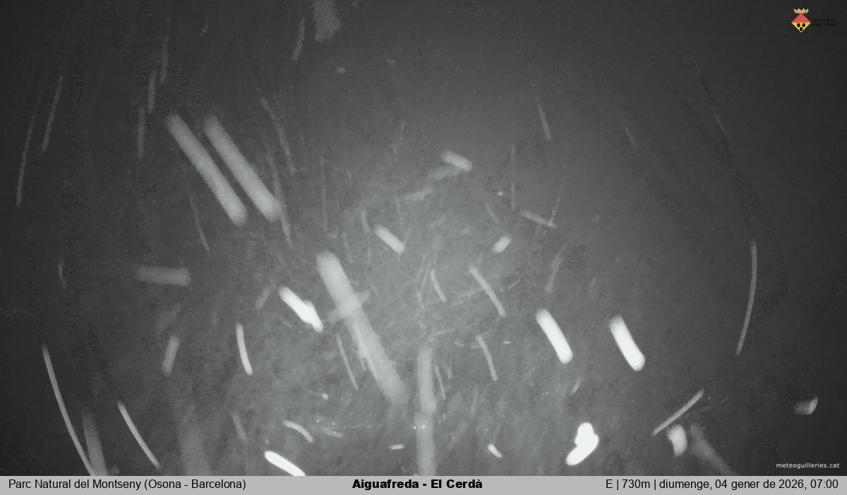 Aiguafreda - El Cerdà