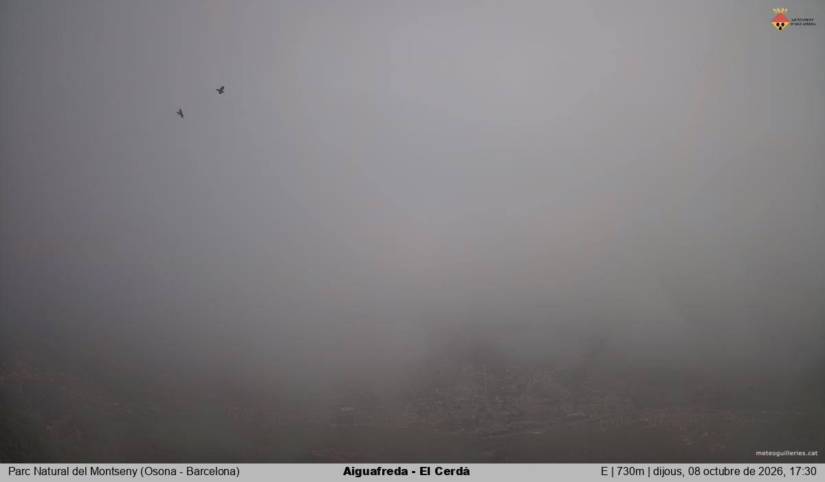 Aiguafreda - El Cerdà