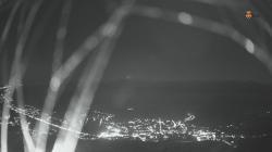 Webcams