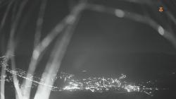 Webcams