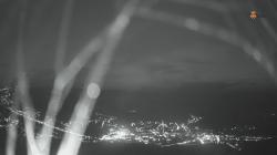 Webcams