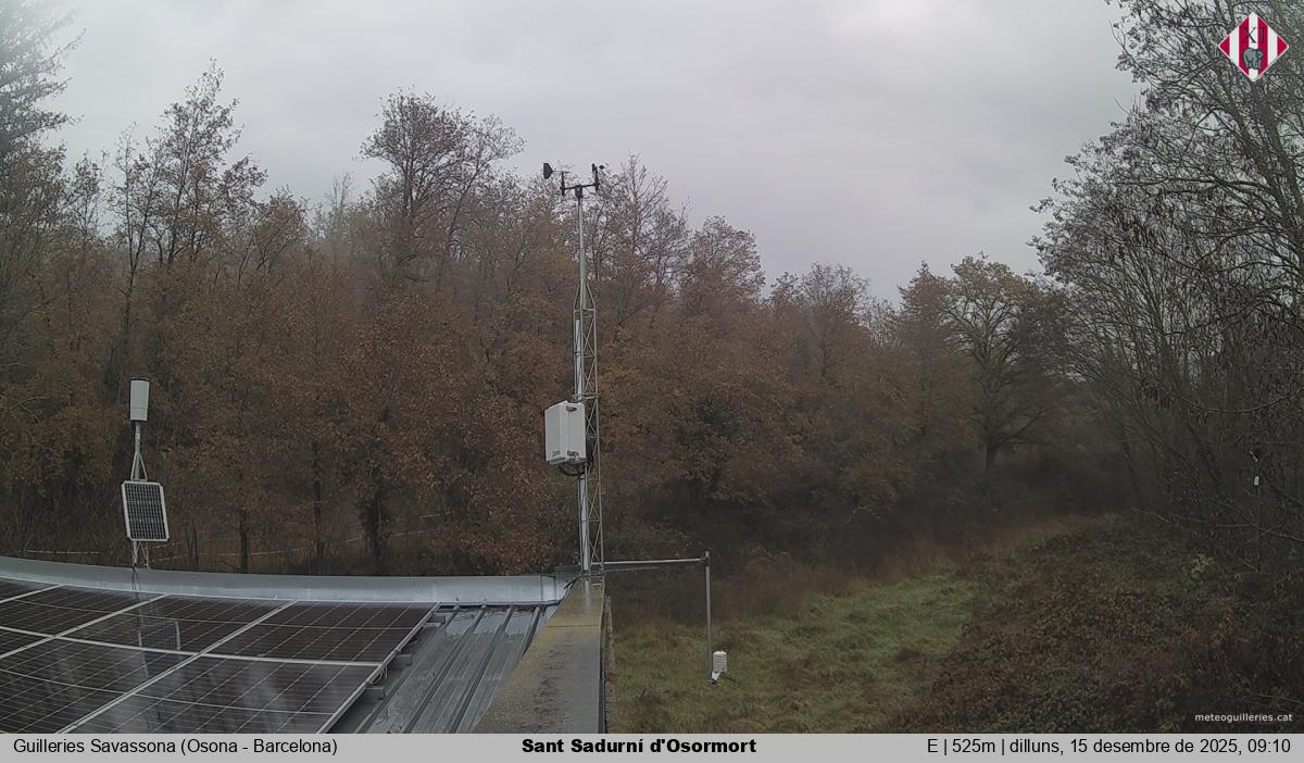 Sant Sadurní d'Osormort 