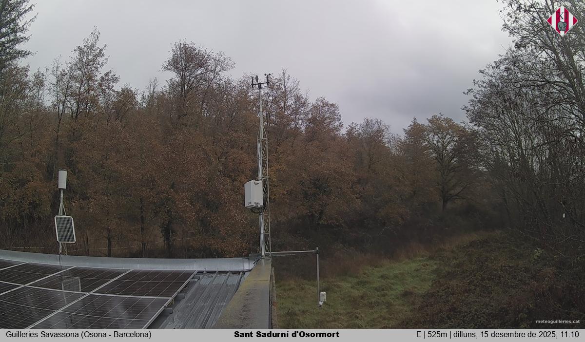 Sant Sadurní d'Osormort 