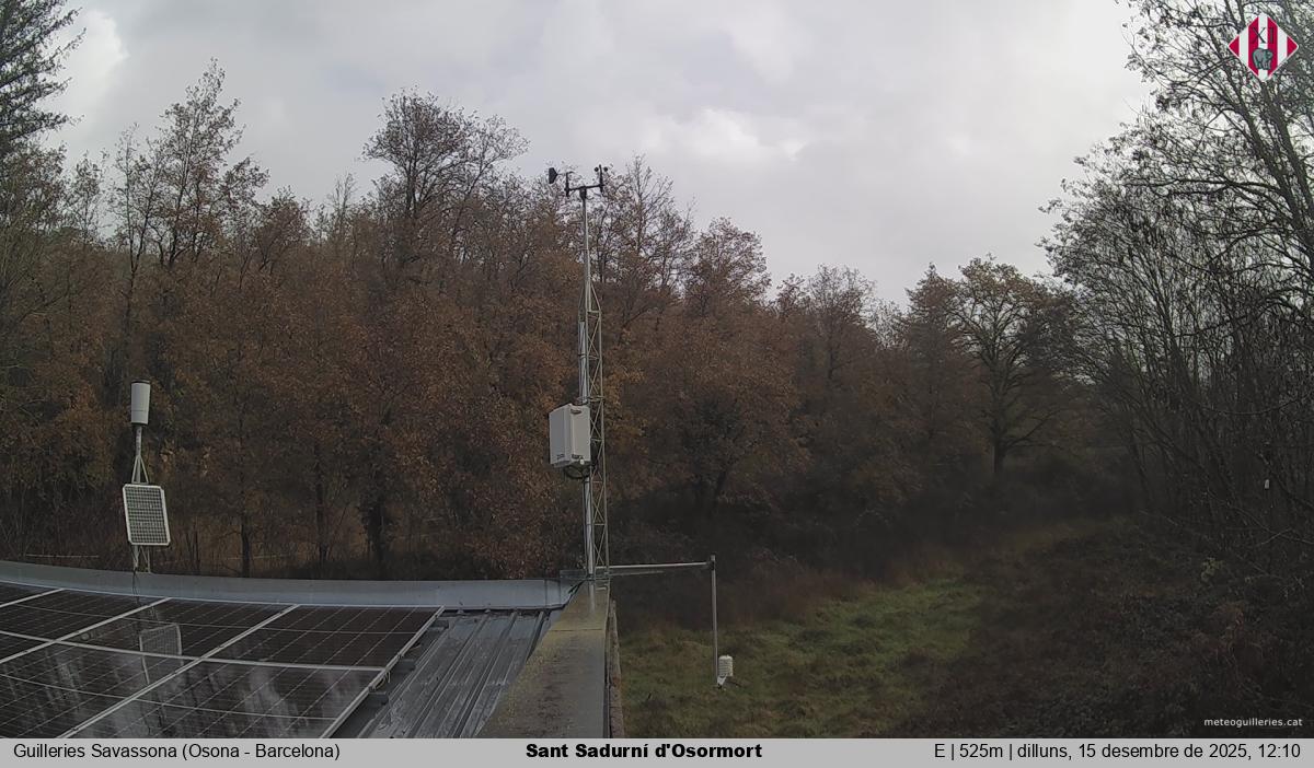 Sant Sadurní d'Osormort 