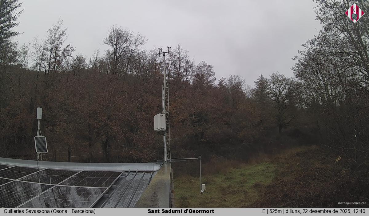 Sant Sadurní d'Osormort 