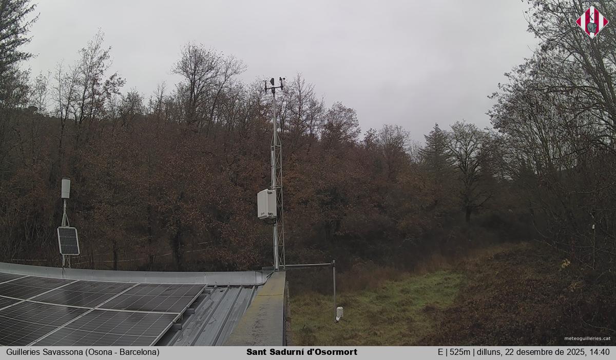 Sant Sadurní d'Osormort 