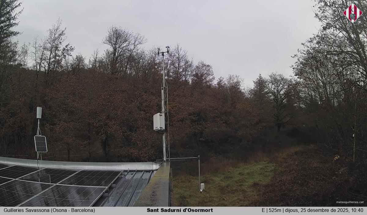 Sant Sadurní d'Osormort 