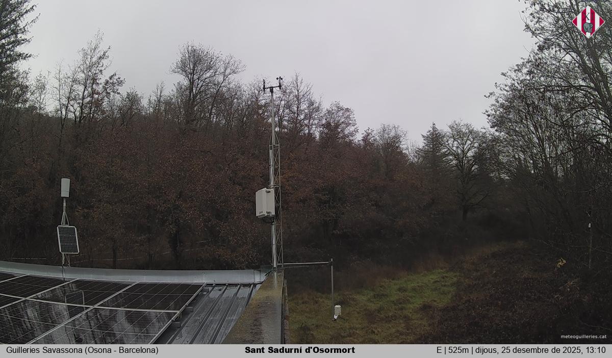 Sant Sadurní d'Osormort 