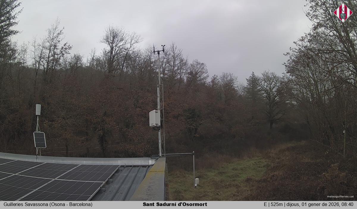 Sant Sadurní d'Osormort 