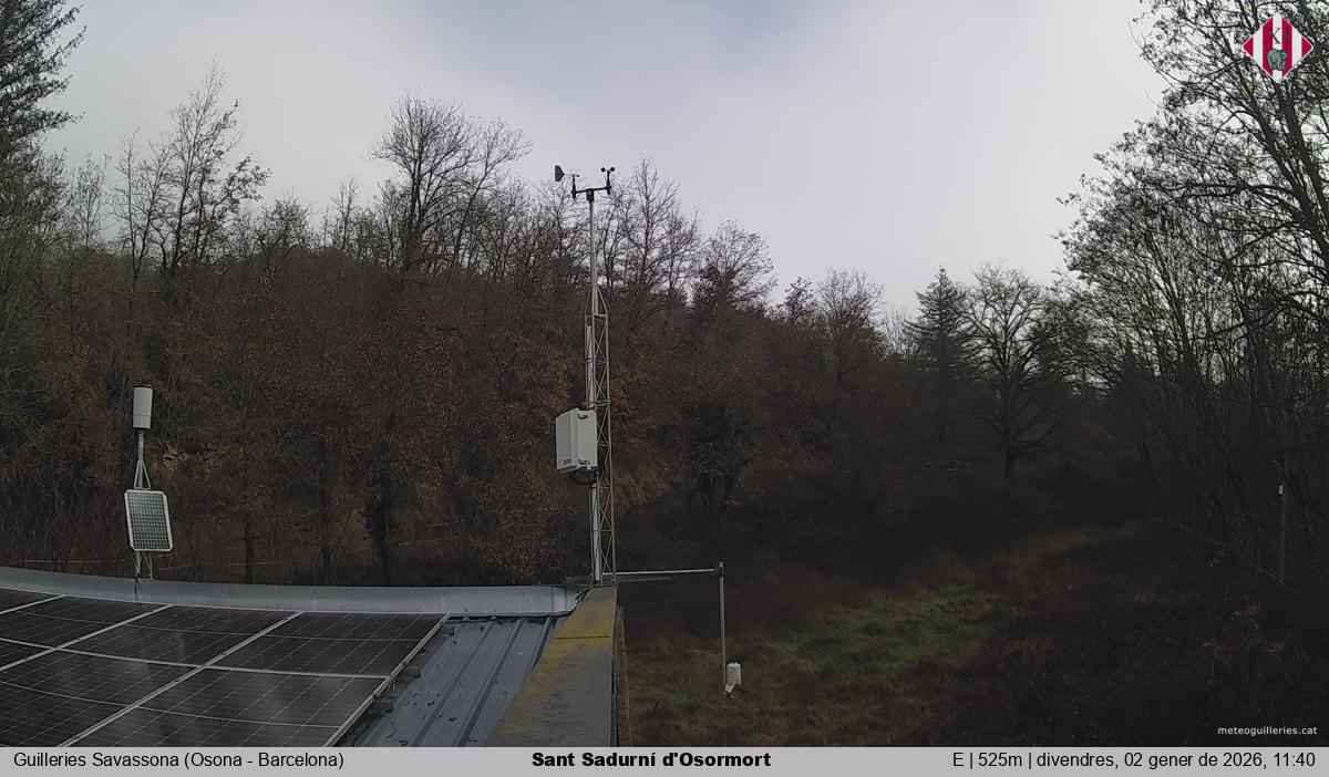 Sant Sadurní d'Osormort 