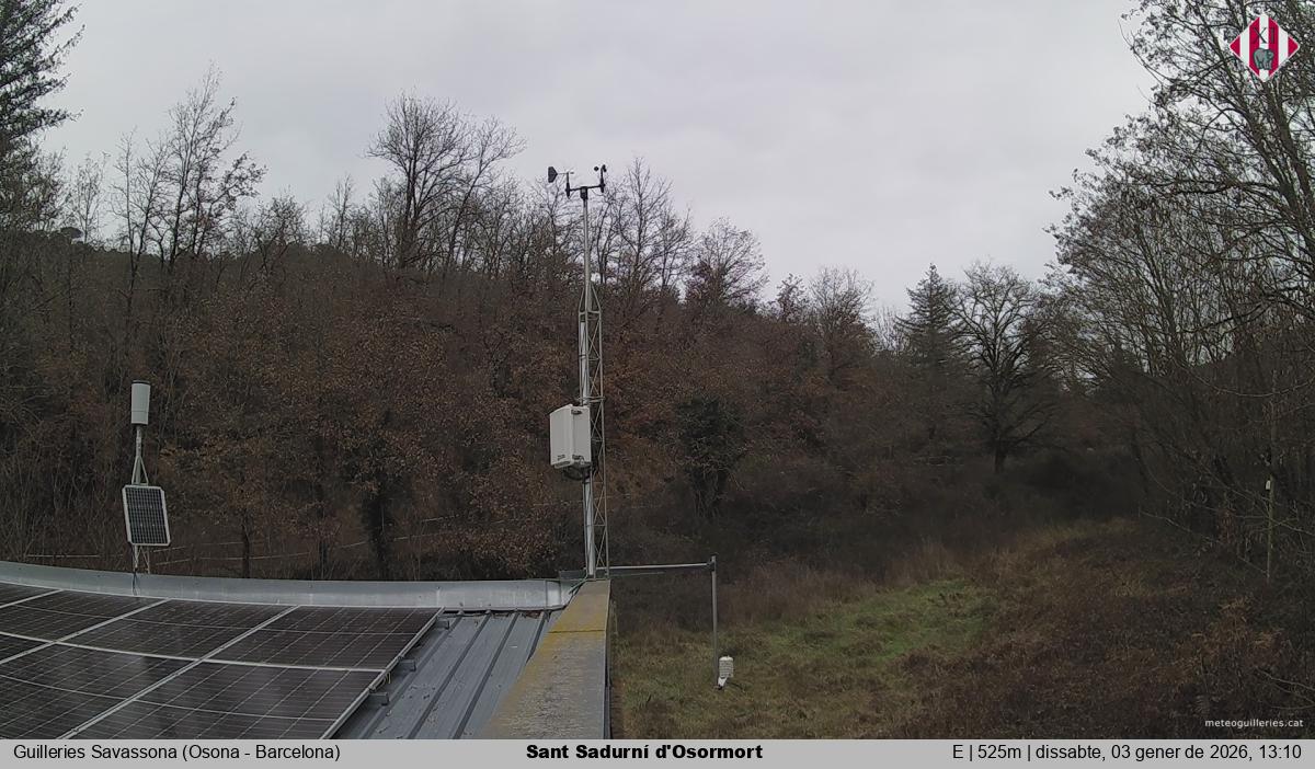 Sant Sadurní d'Osormort 