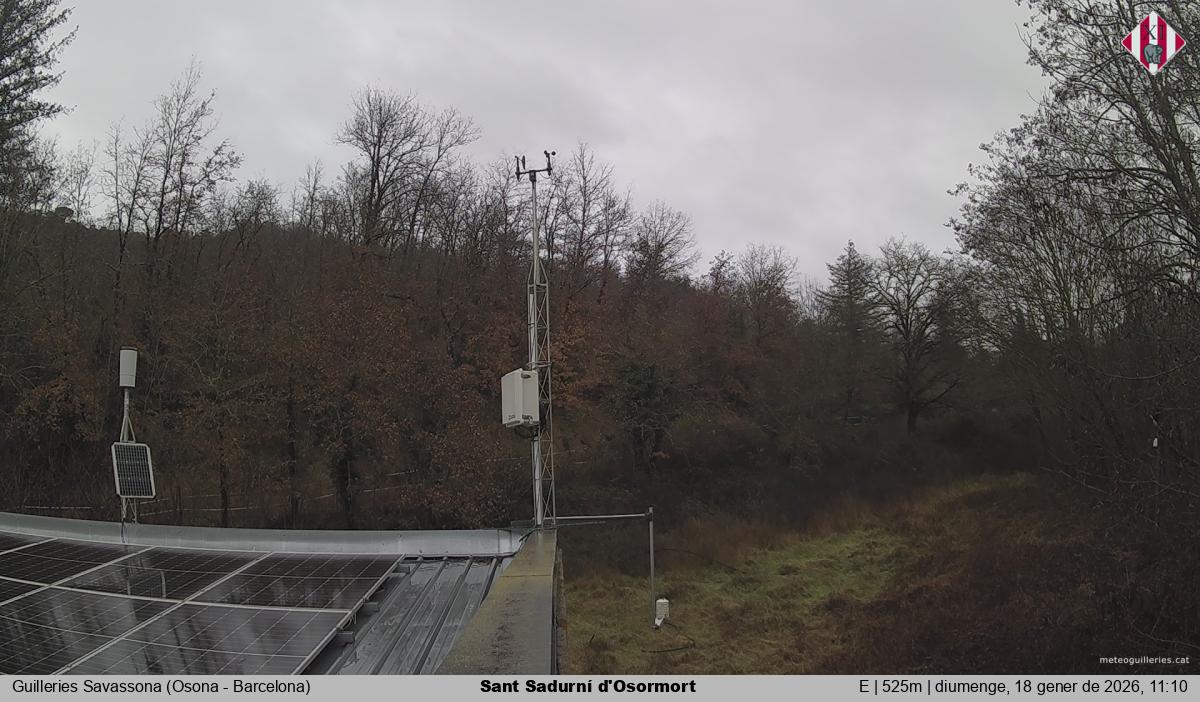 Sant Sadurní d'Osormort 