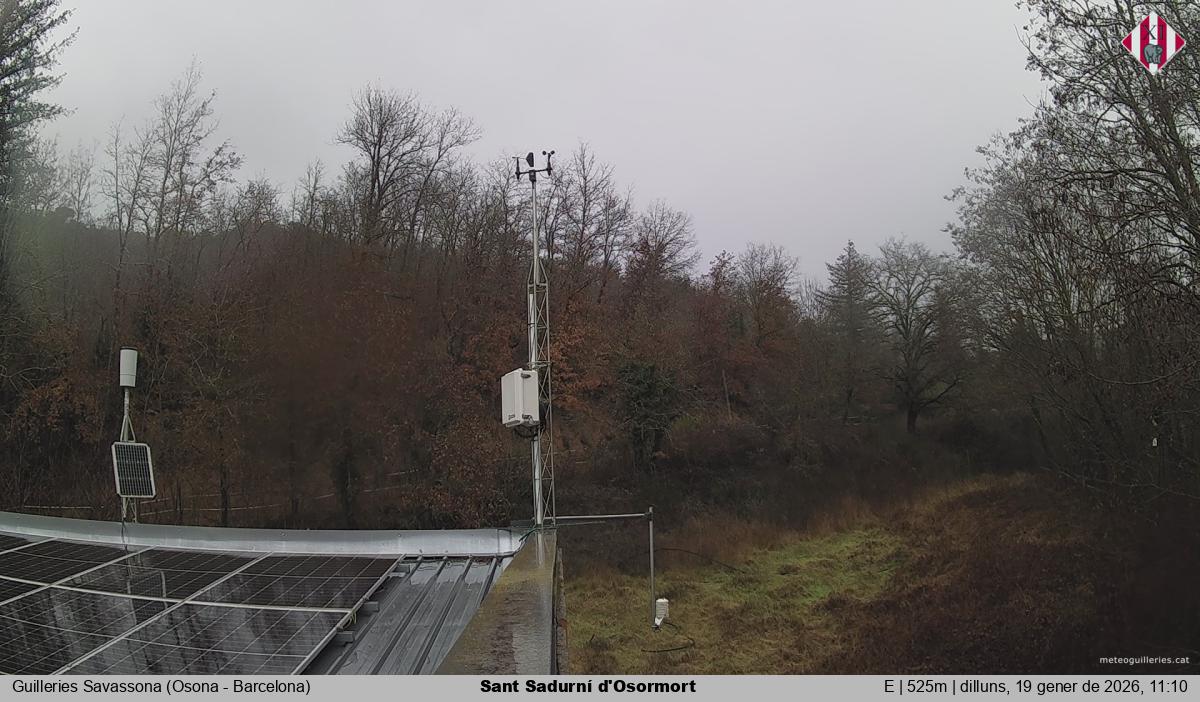 Sant Sadurní d'Osormort 