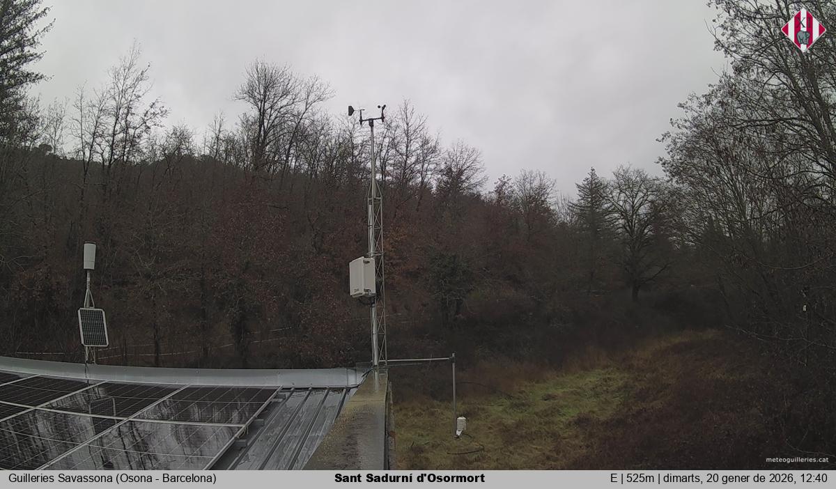 Sant Sadurní d'Osormort 