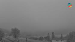 Webcams