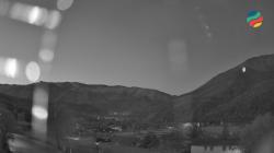 Webcams
