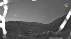 Webcams