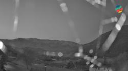 Webcams