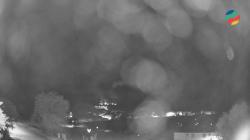 Webcams