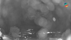 Webcams