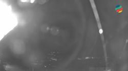 Webcams