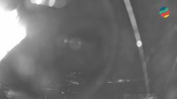 Webcams