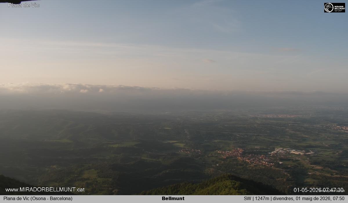Bellmunt
