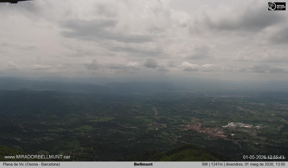 Bellmunt