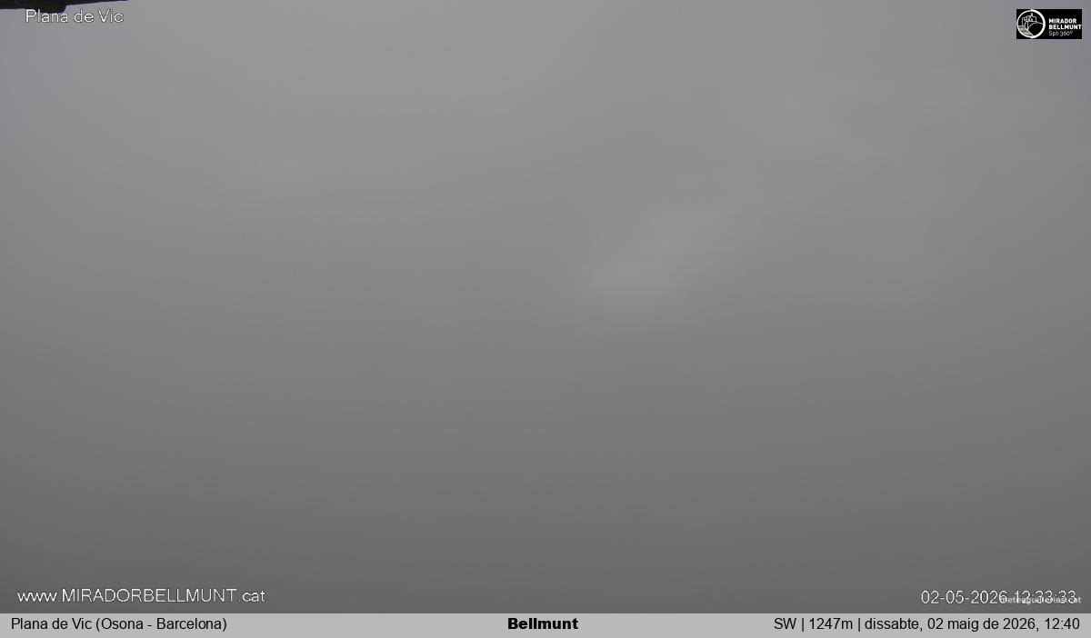 Bellmunt