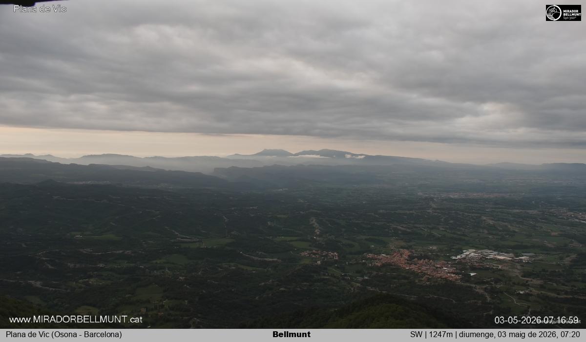 Bellmunt