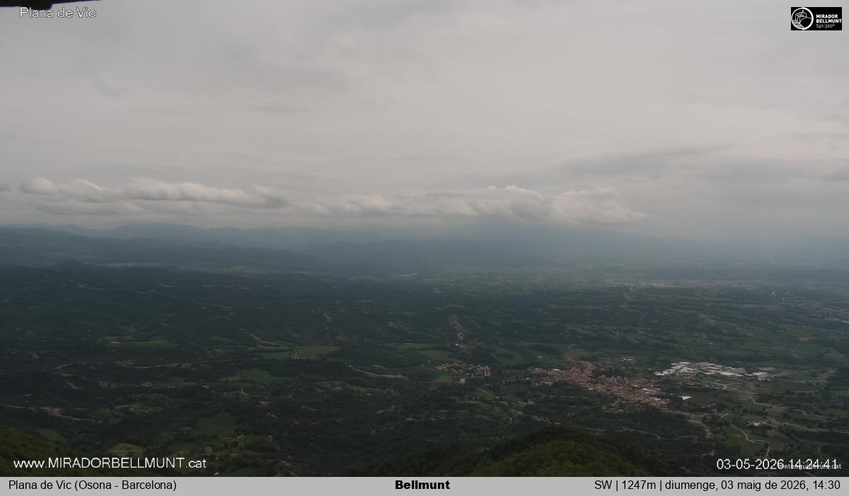 Bellmunt