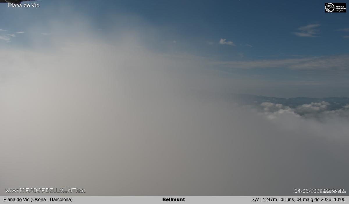 Bellmunt