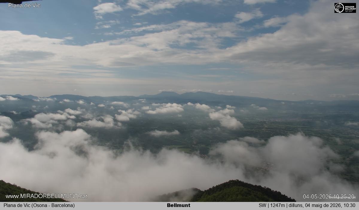 Bellmunt
