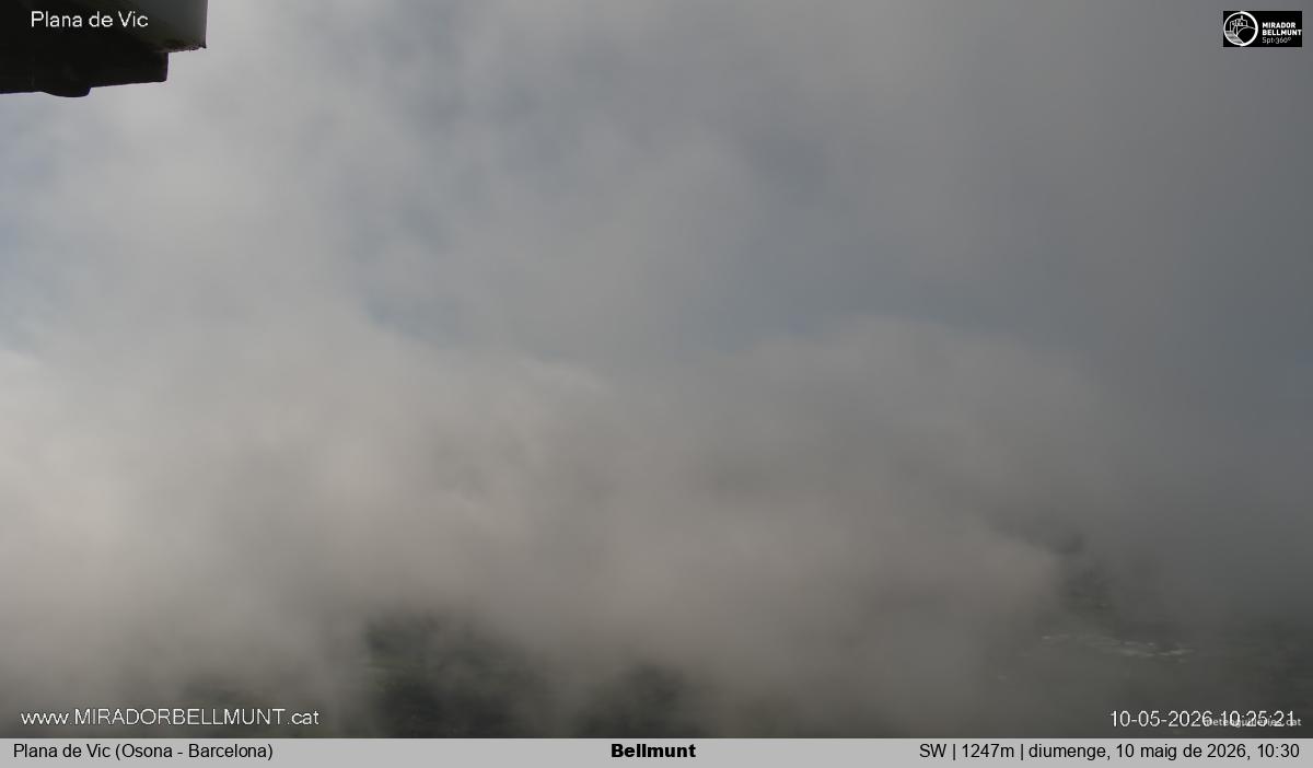 Bellmunt