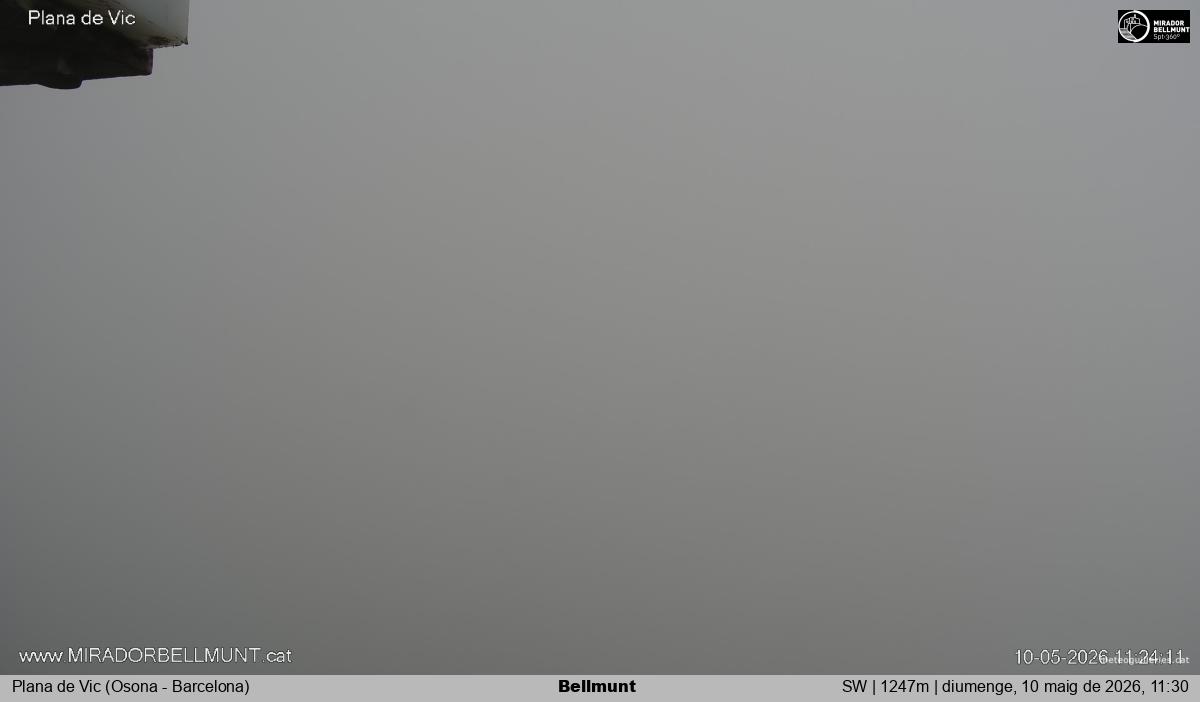 Bellmunt