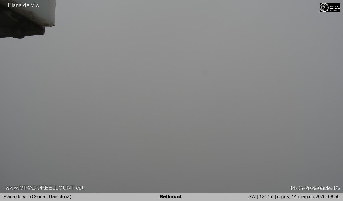 Bellmunt
