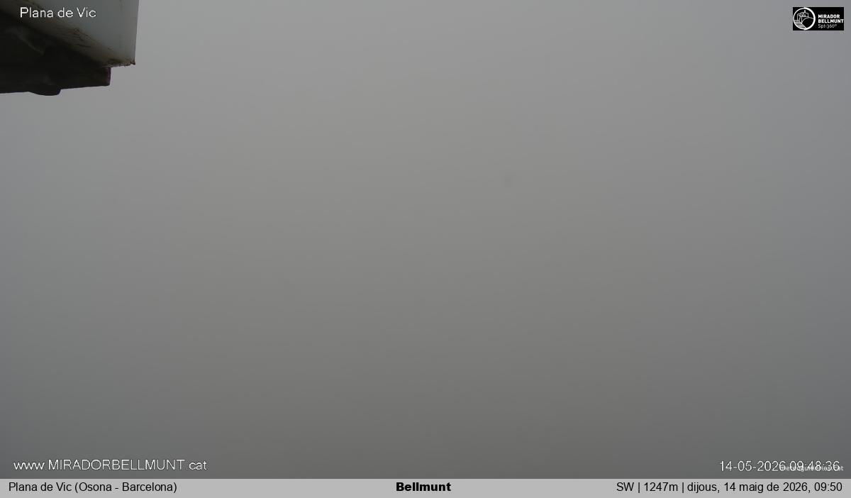 Bellmunt