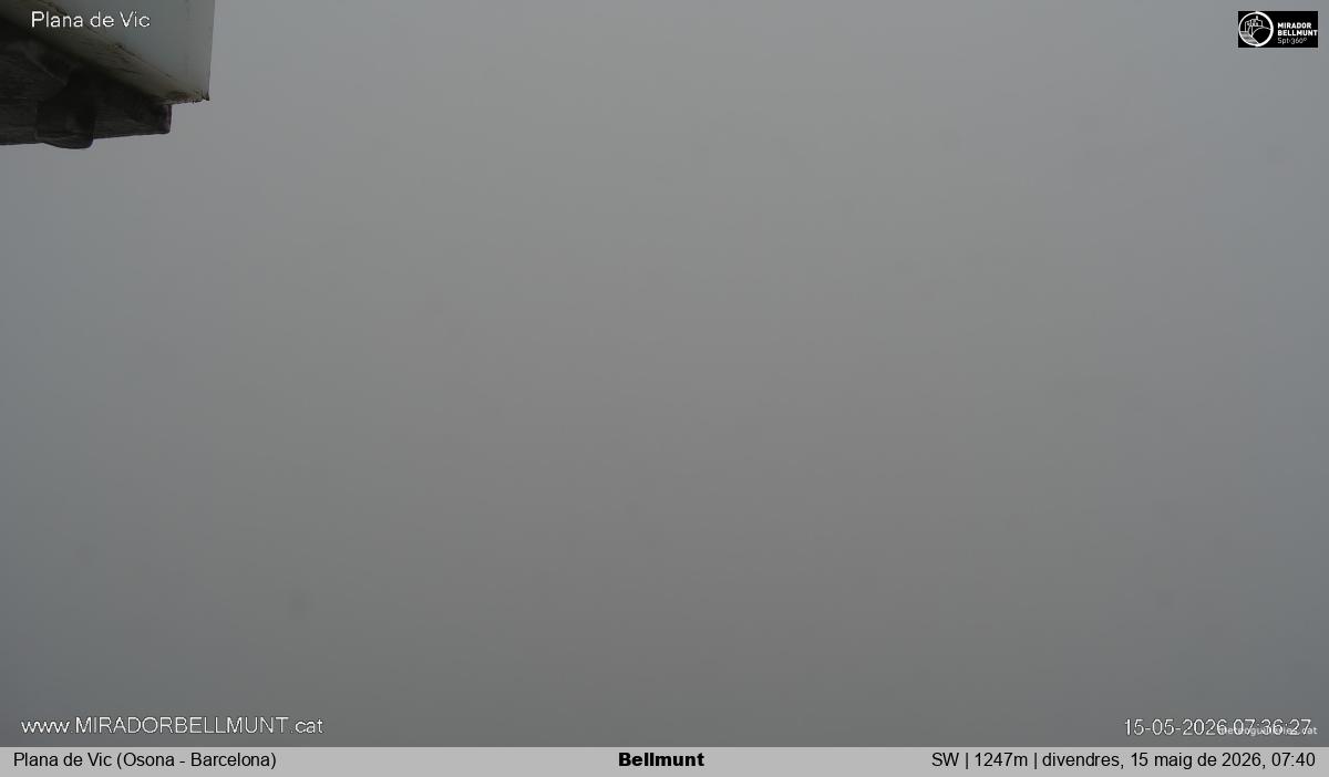 Bellmunt