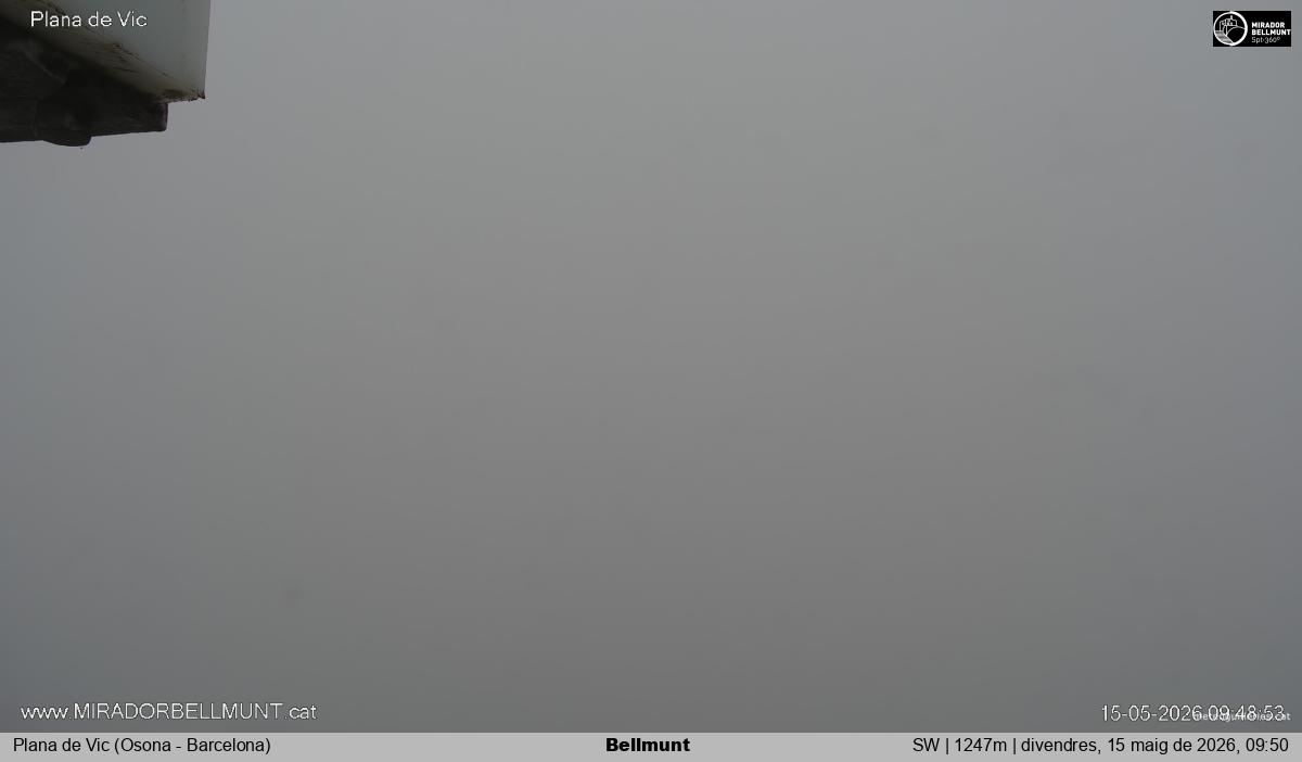 Bellmunt