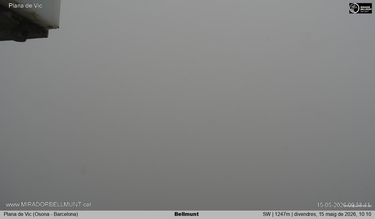 Bellmunt