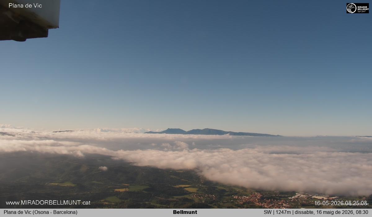 Bellmunt