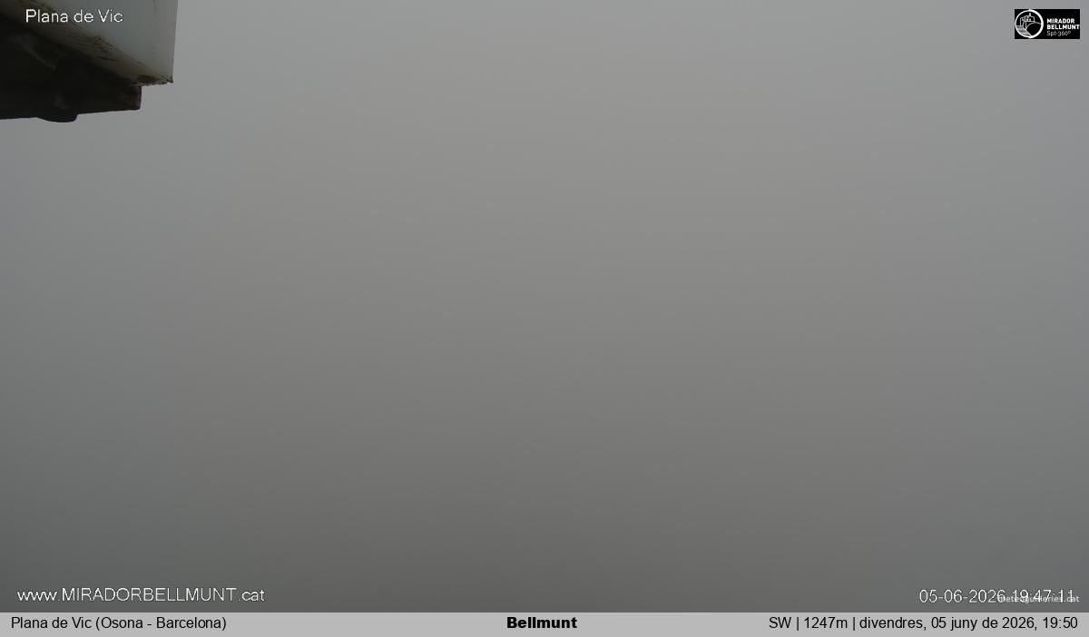 Bellmunt