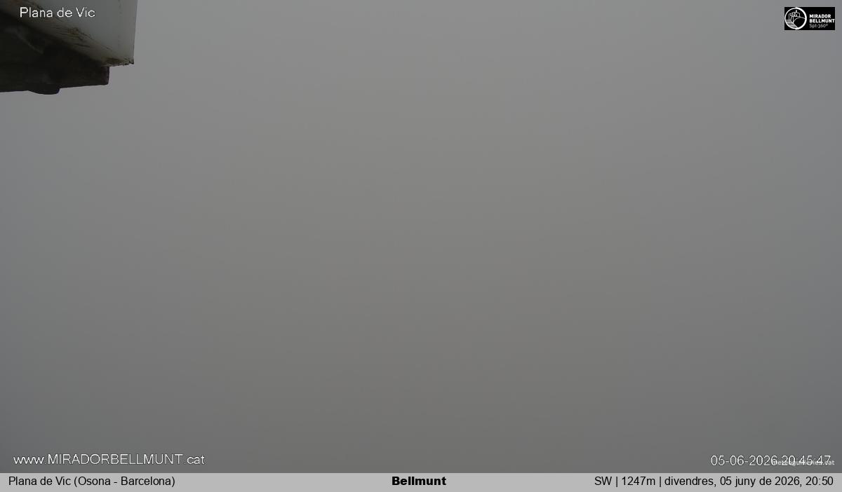 Bellmunt