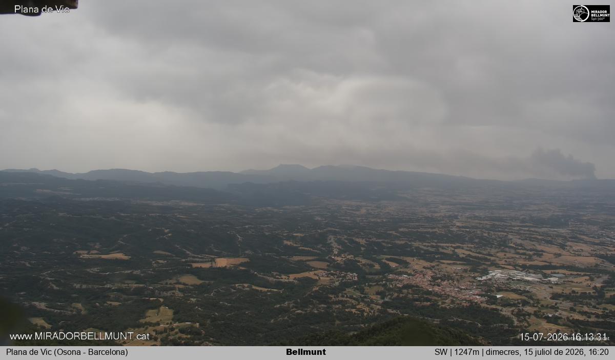 Bellmunt