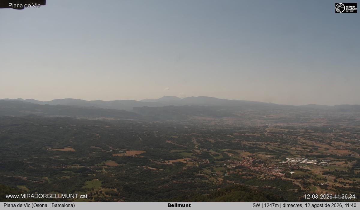 Bellmunt