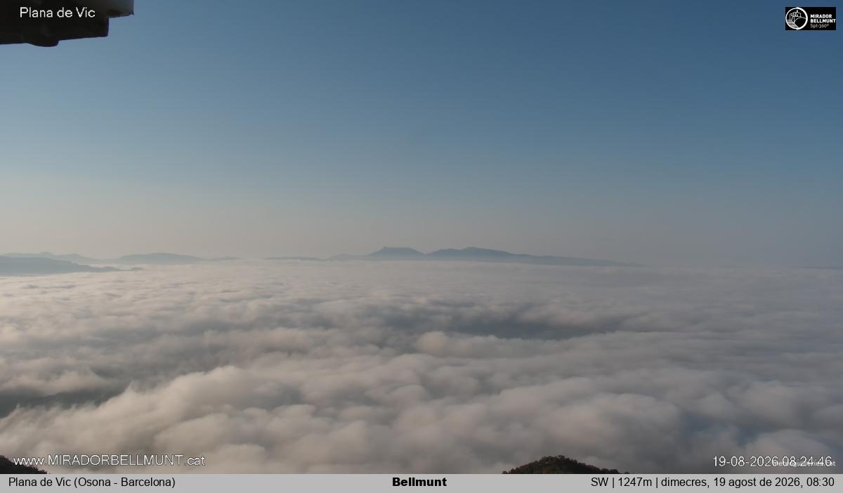 Bellmunt