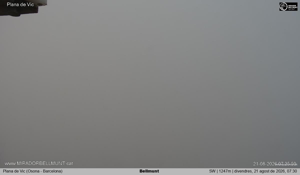 Bellmunt