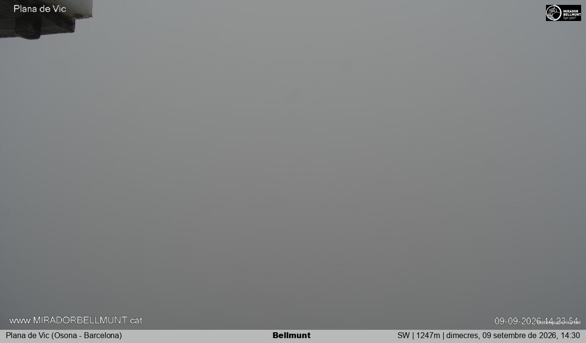 Bellmunt