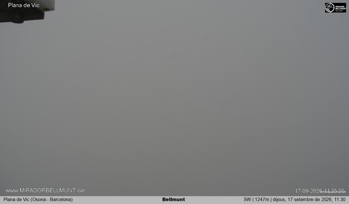 Bellmunt