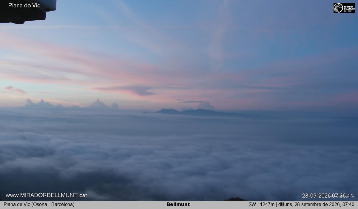 Bellmunt